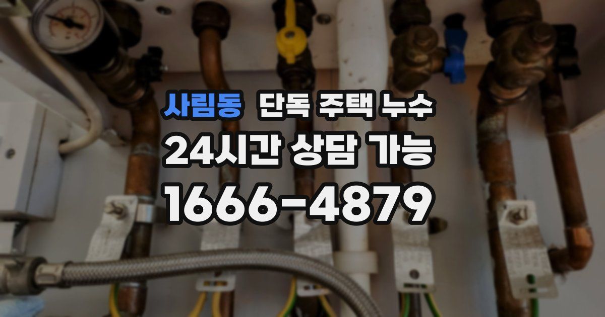 사림동 단독 주택 누수