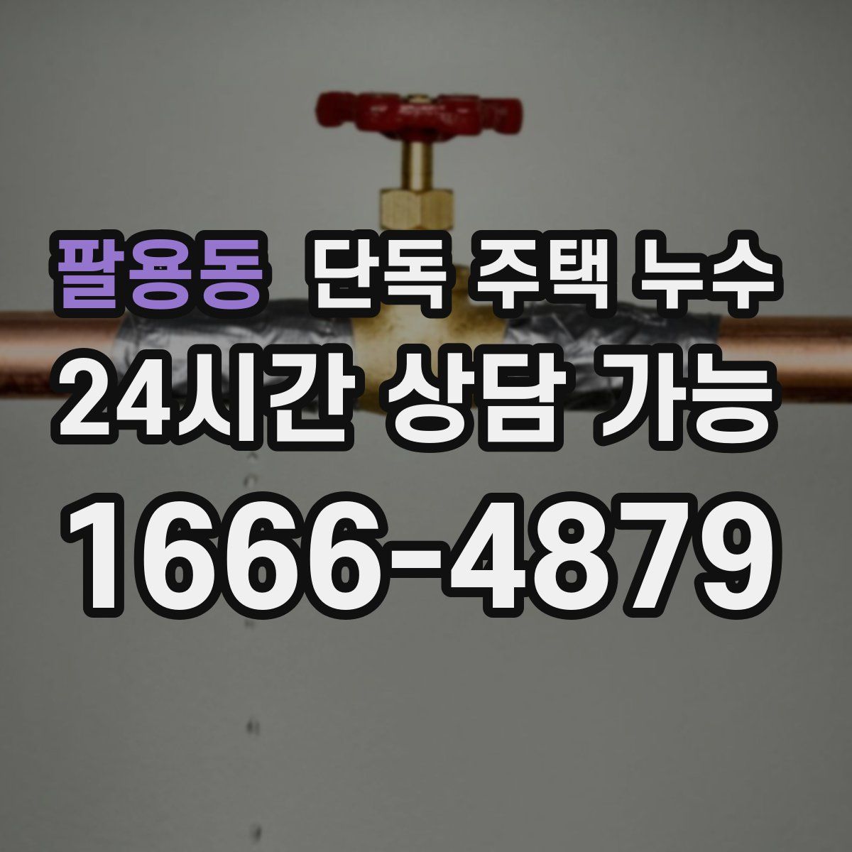 팔용동 단독 주택 누수