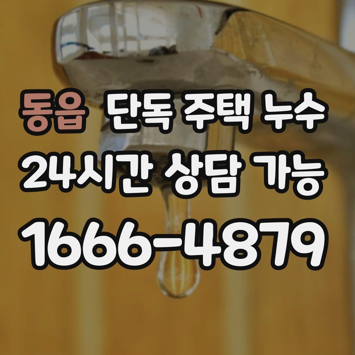 동읍 단독 주택 누수 다락 천장 얼룩이 생겼을 때 점검