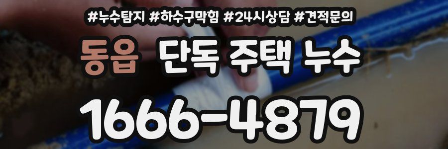 동읍 단독 주택 누수