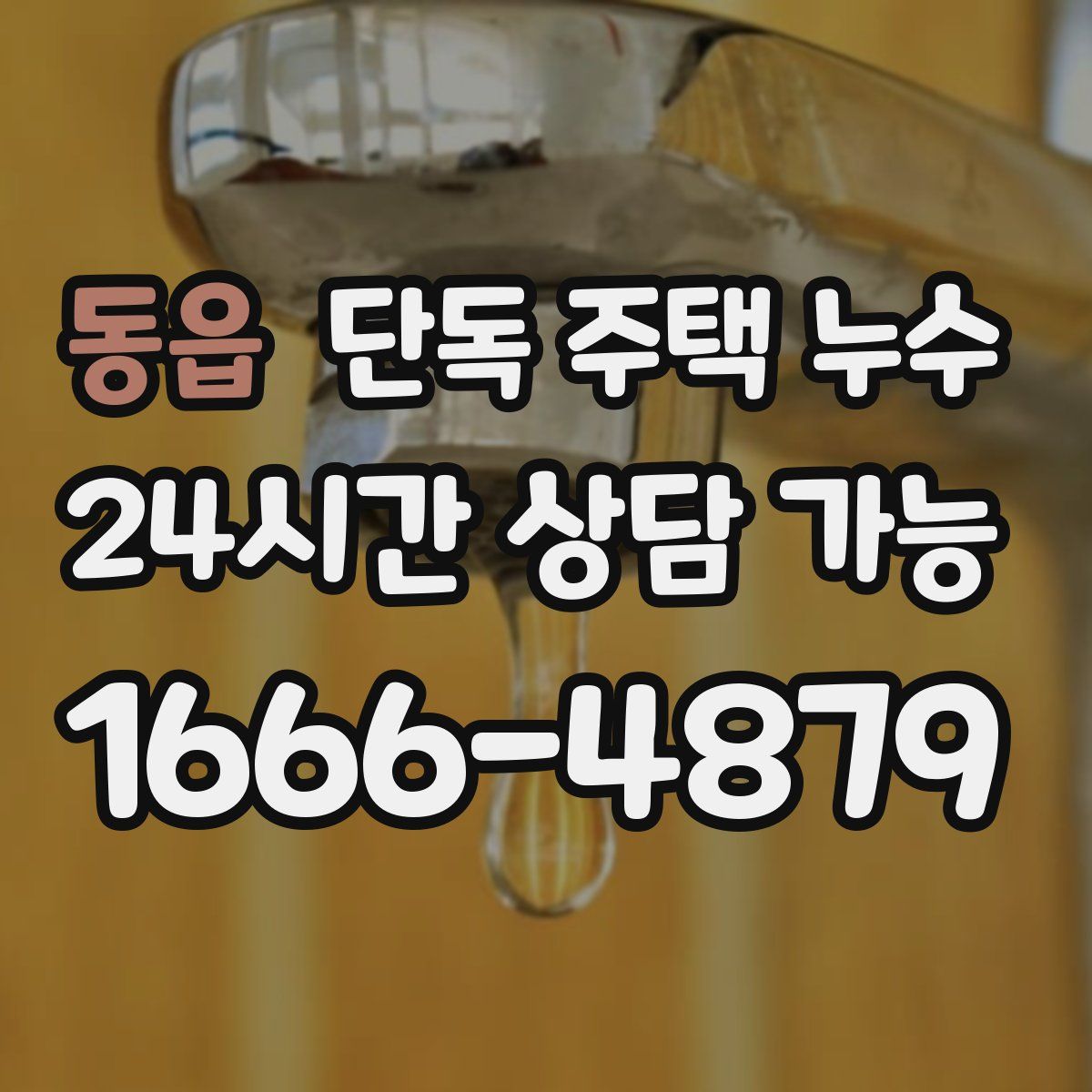 동읍 단독 주택 누수