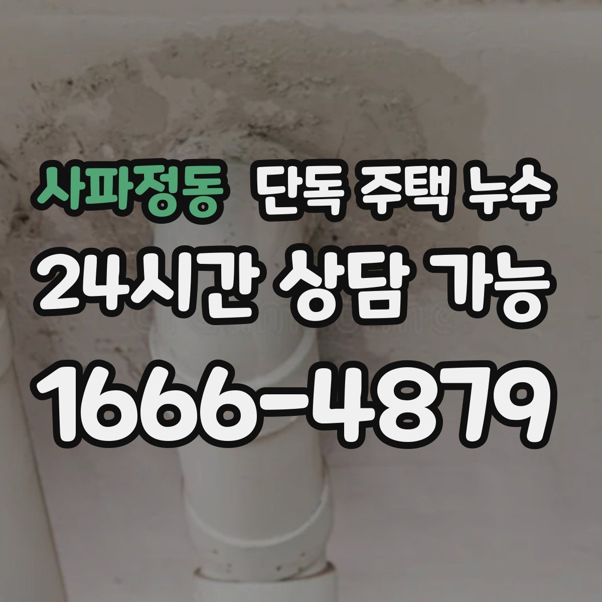 사파정동 단독 주택 누수