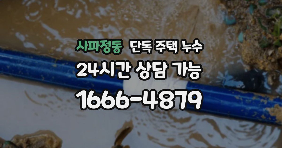 사파정동 단독 주택 누수