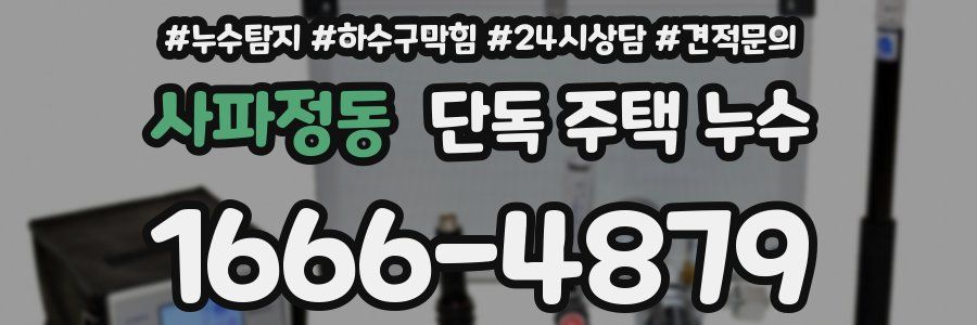 사파정동 단독 주택 누수