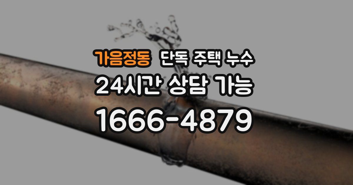 가음정동 단독 주택 누수