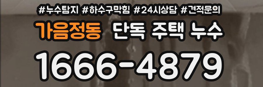 가음정동 단독 주택 누수