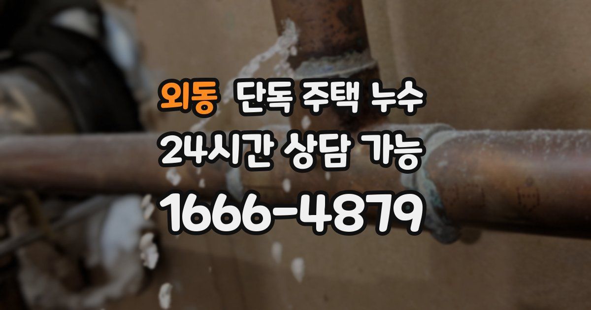 외동 단독 주택 누수