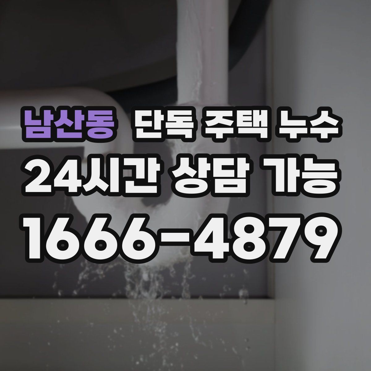 남산동 단독 주택 누수 곰팡이 냄새가 진해질 때 원인 찾기