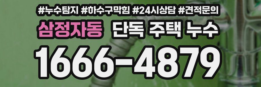 삼정자동 단독 주택 누수