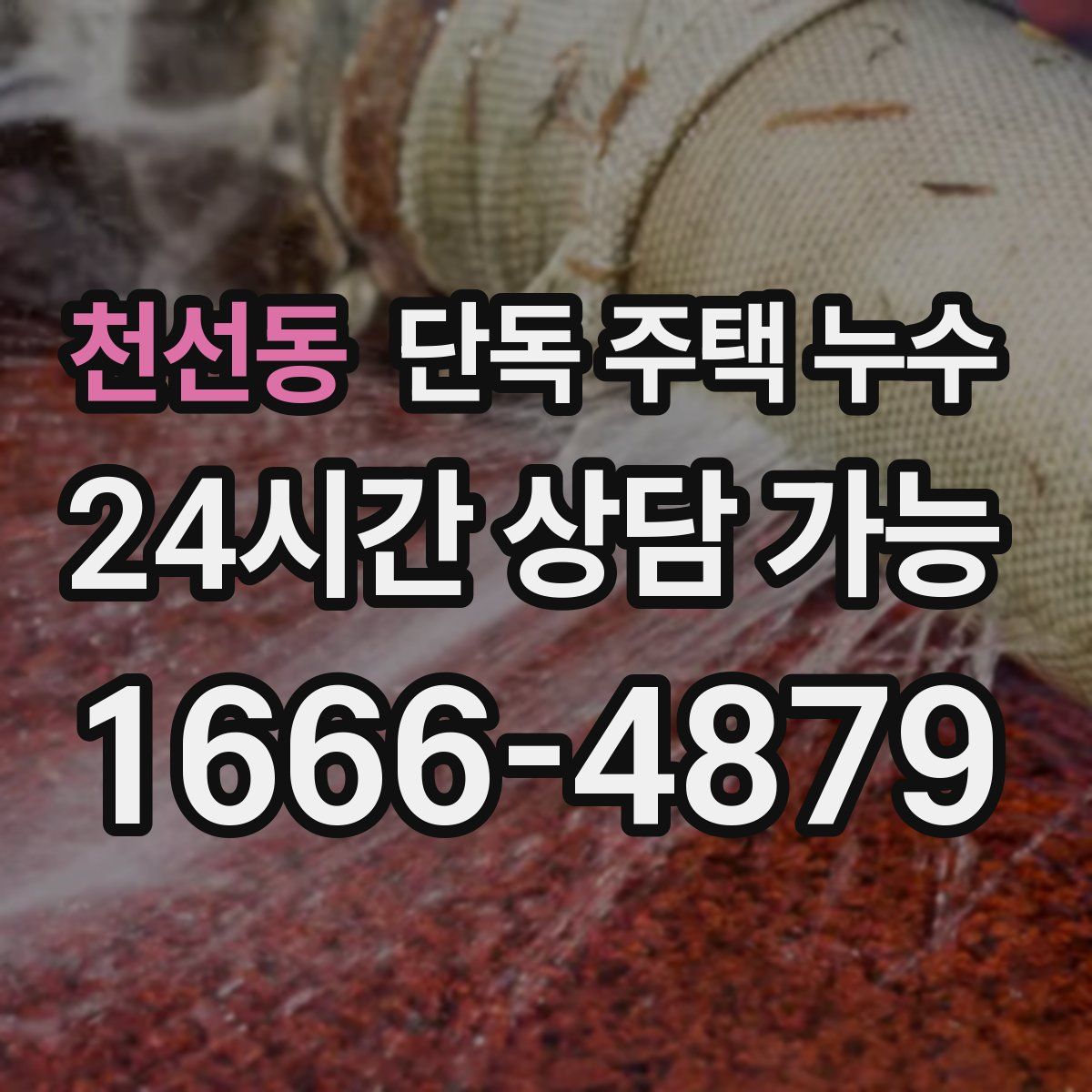 천선동 단독 주택 누수