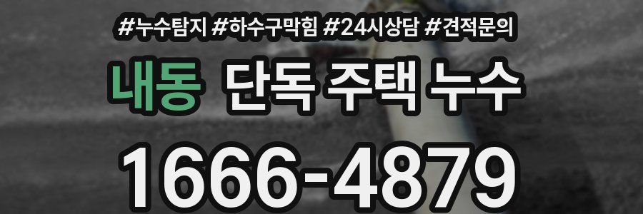 내동 단독 주택 누수