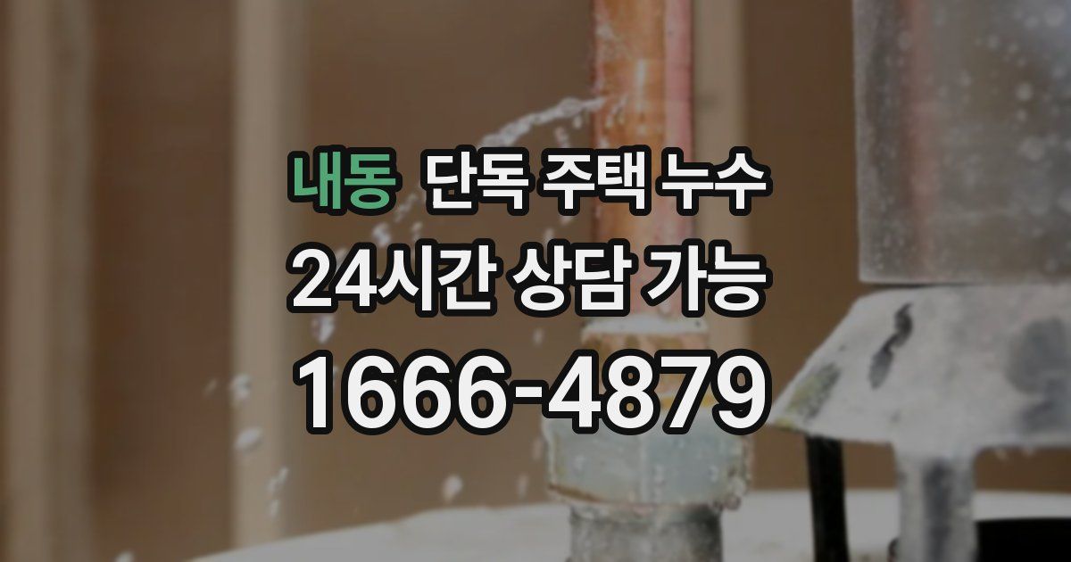 내동 단독 주택 누수