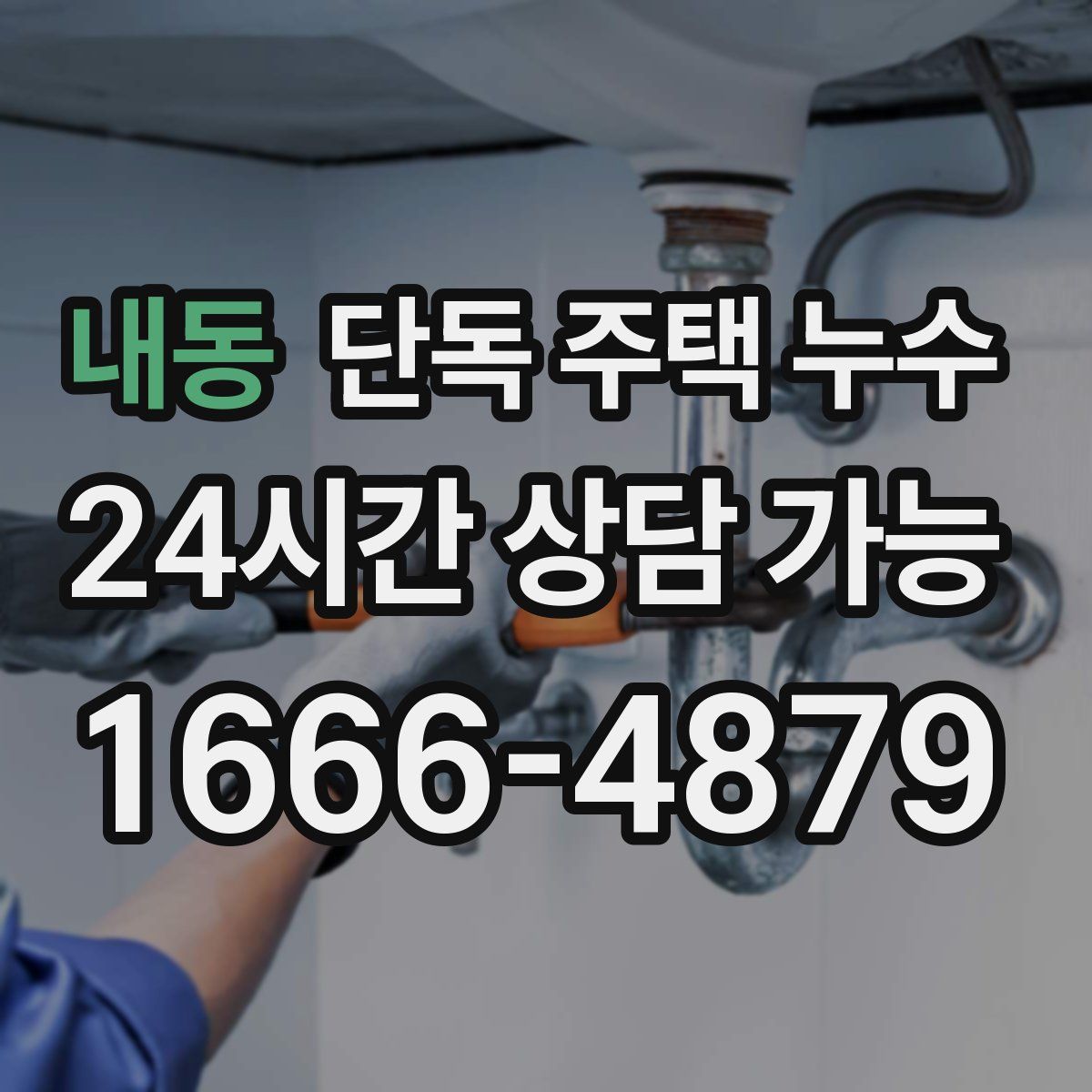 내동 단독 주택 누수