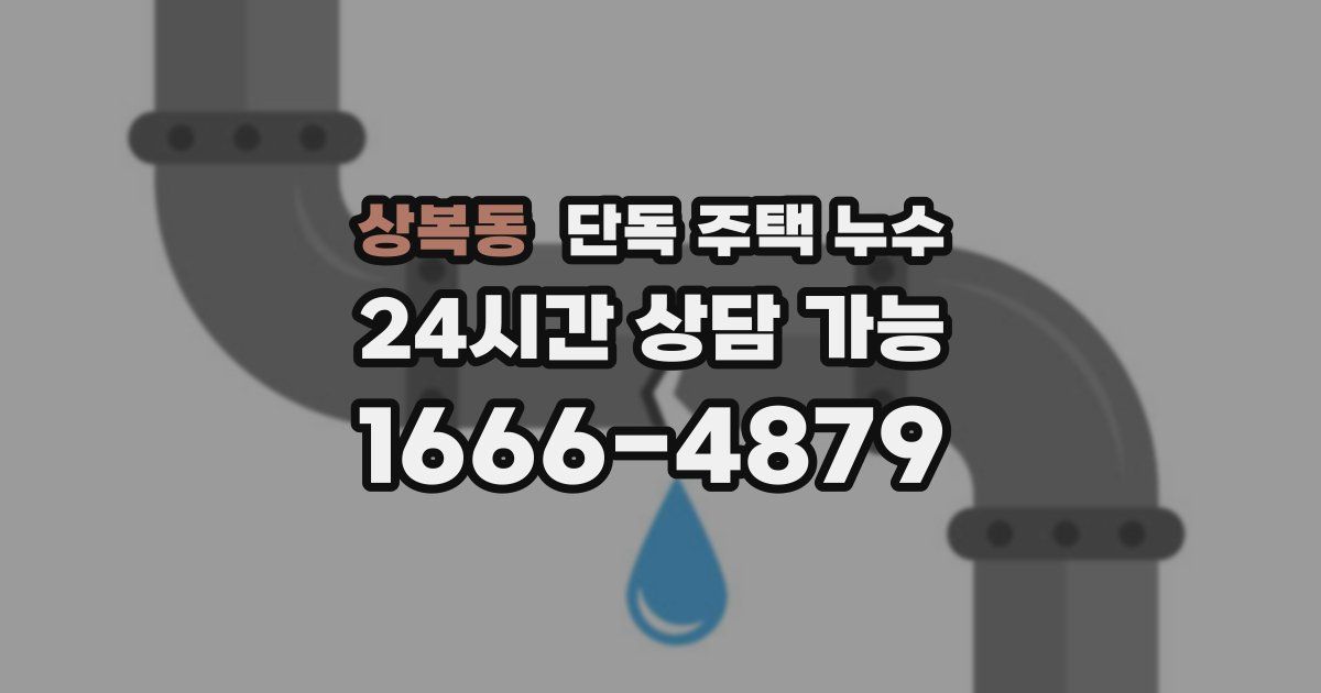 상복동 단독 주택 누수