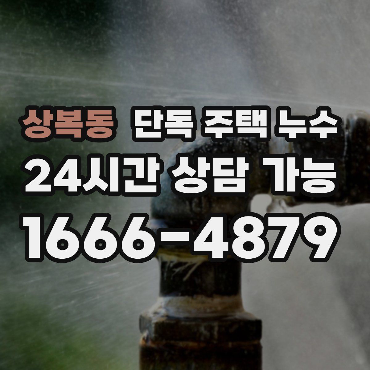 상복동 단독 주택 누수