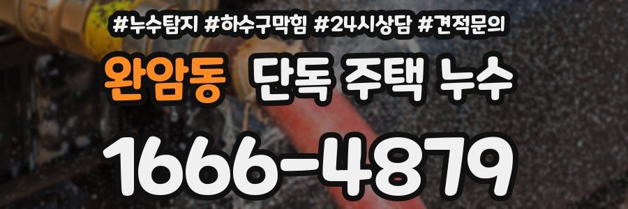 완암동 단독 주택 누수