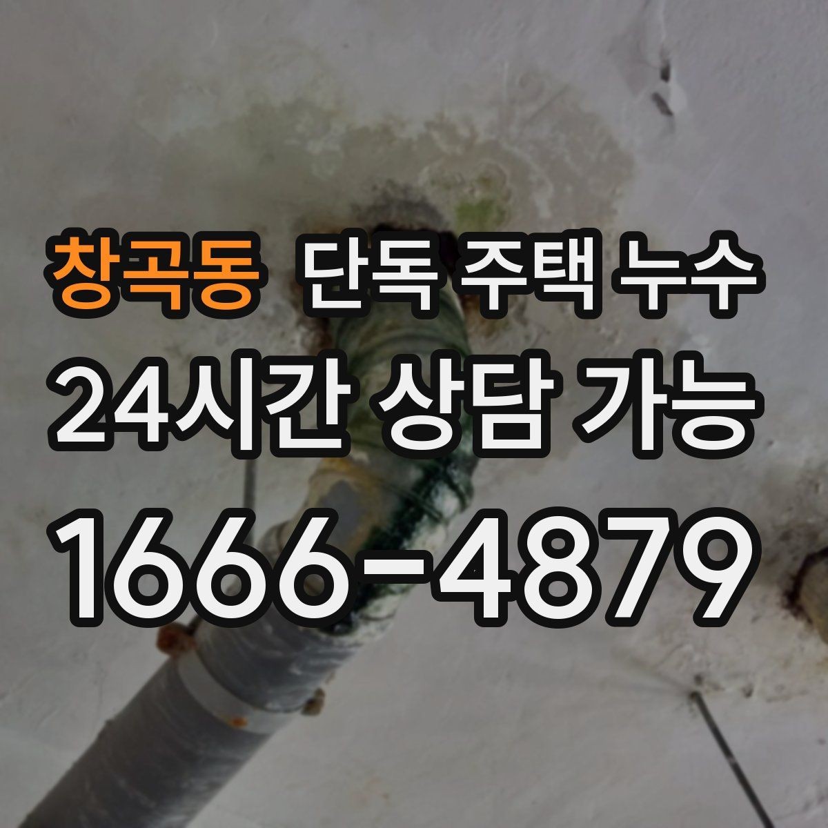 창곡동 단독 주택 누수 문틀 변형이 생기면 늦었다는 신호