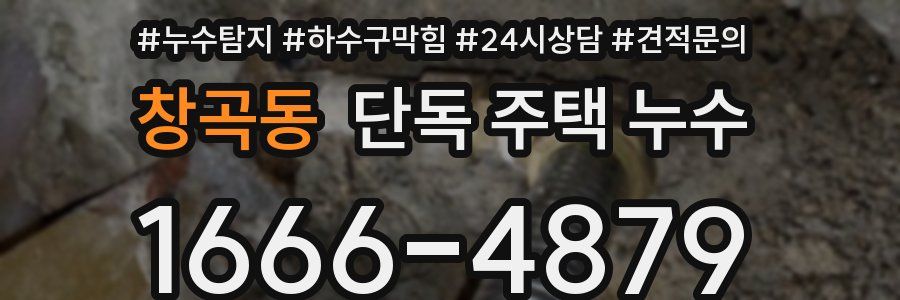 창곡동 단독 주택 누수