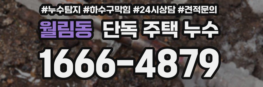 월림동 단독 주택 누수