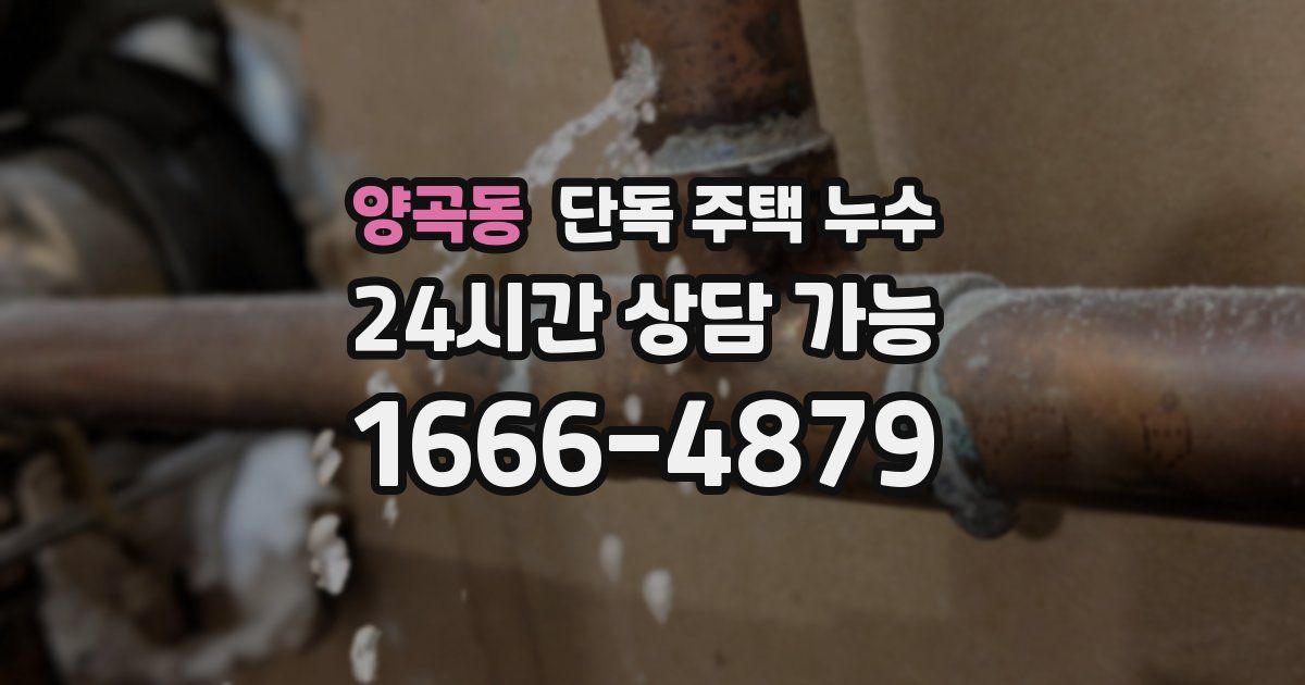 양곡동 단독 주택 누수