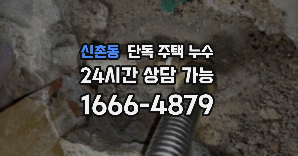 신촌동 단독 주택 누수