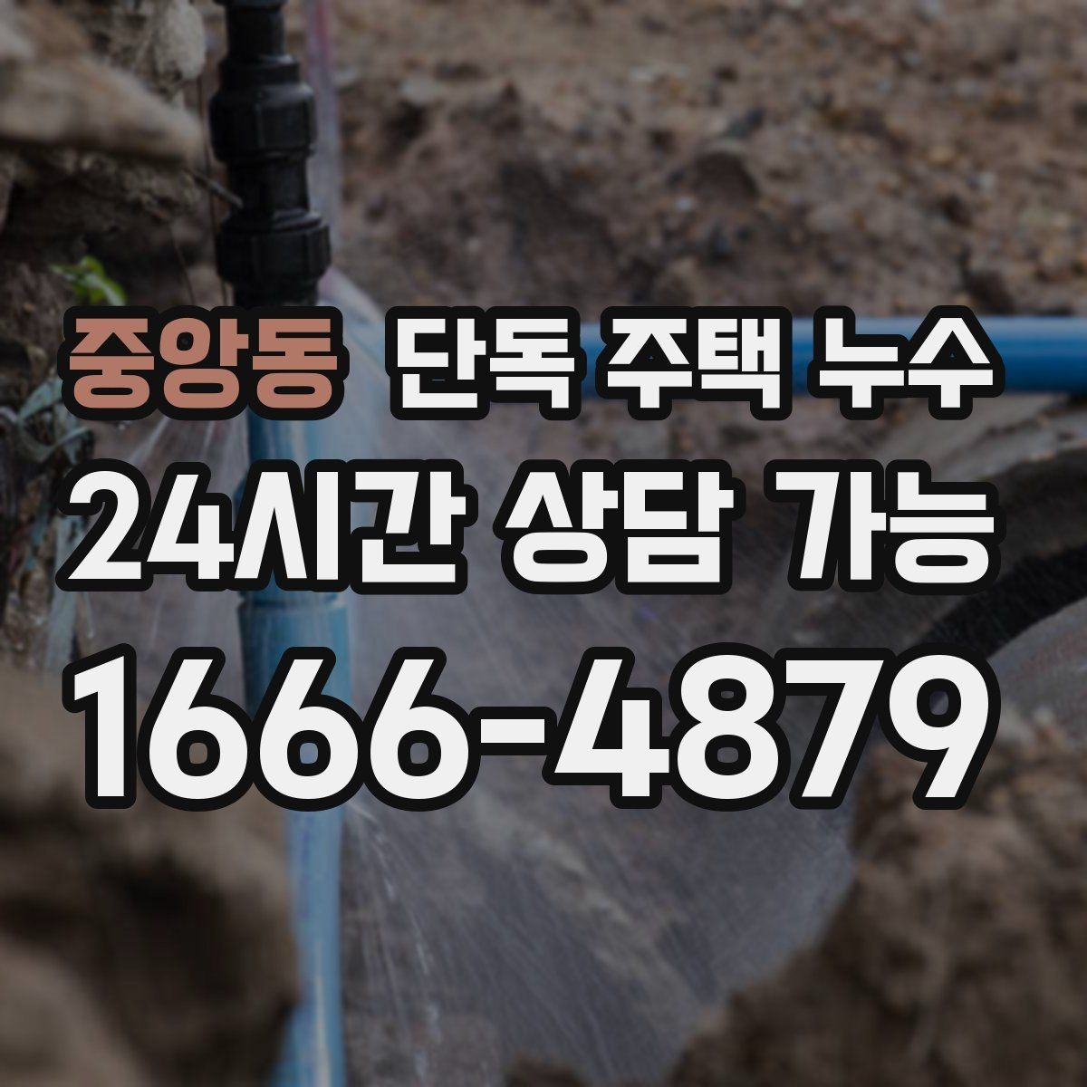 중앙동 단독 주택 누수 보일러실 바닥 물고임 원인 추정