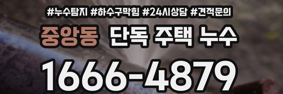 중앙동 단독 주택 누수