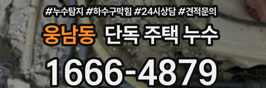 웅남동 단독 주택 누수