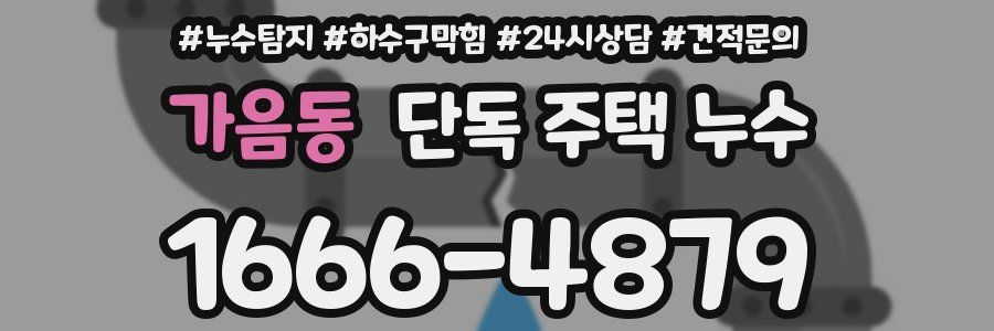 가음동 단독 주택 누수
