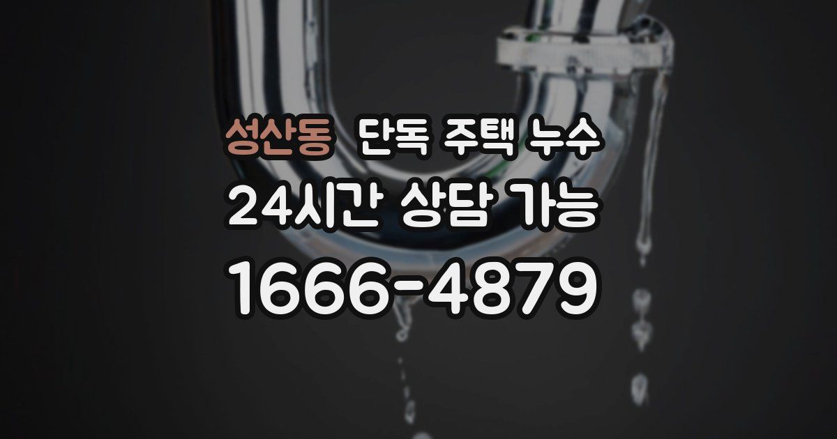 성산동 단독 주택 누수