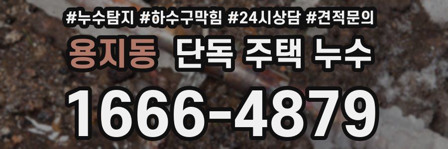 용지동 단독 주택 누수