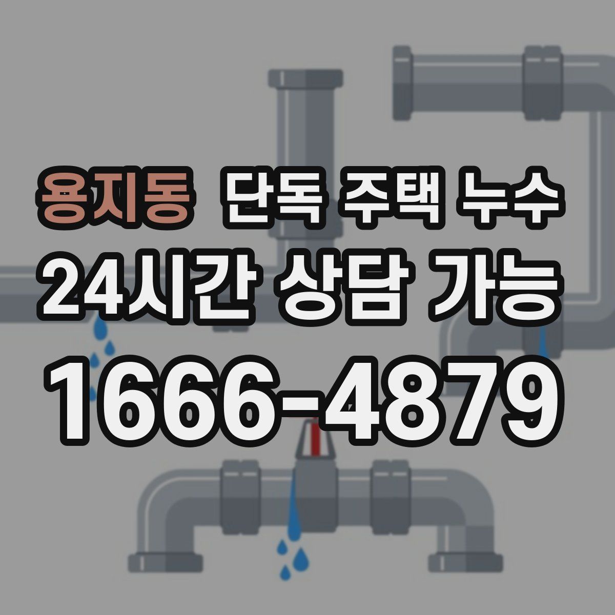 용지동 단독 주택 누수