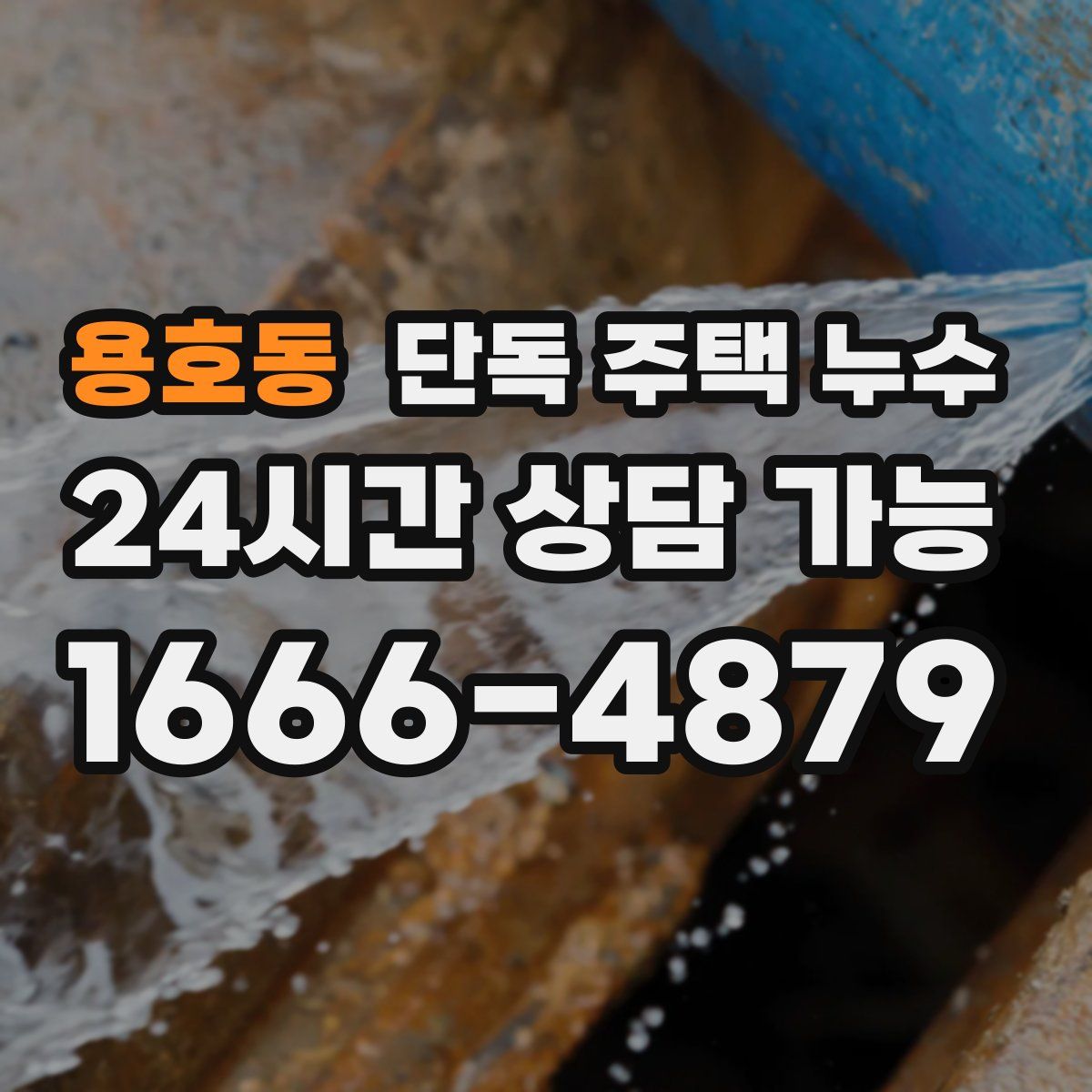 용호동 단독 주택 누수