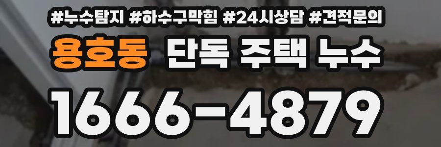 용호동 단독 주택 누수