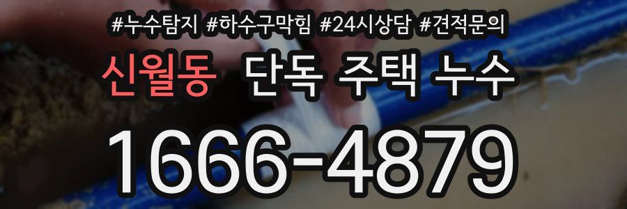 신월동 단독 주택 누수