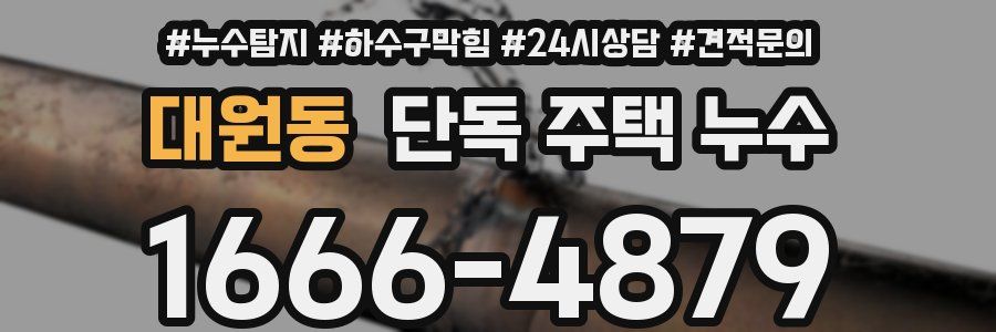 대원동 단독 주택 누수