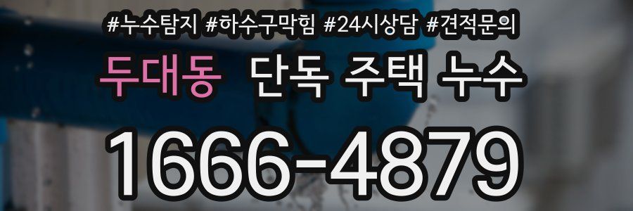 두대동 단독 주택 누수