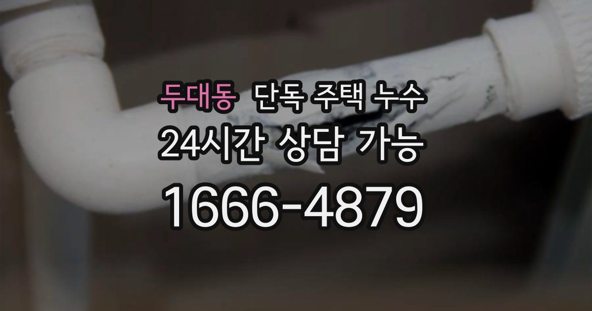 두대동 단독 주택 누수