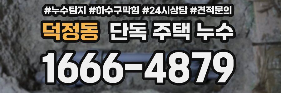 덕정동 단독 주택 누수