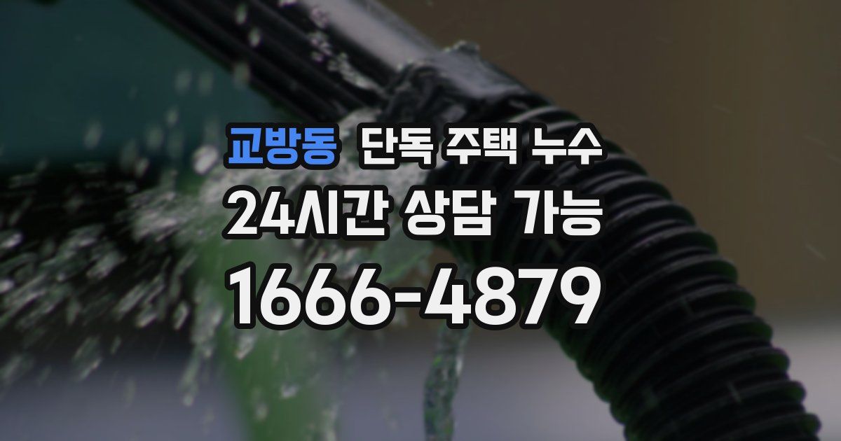 교방동 단독 주택 누수