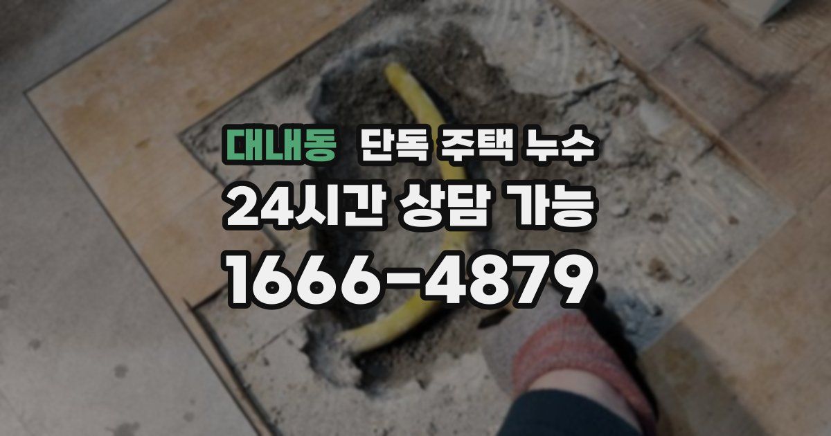 대내동 단독 주택 누수