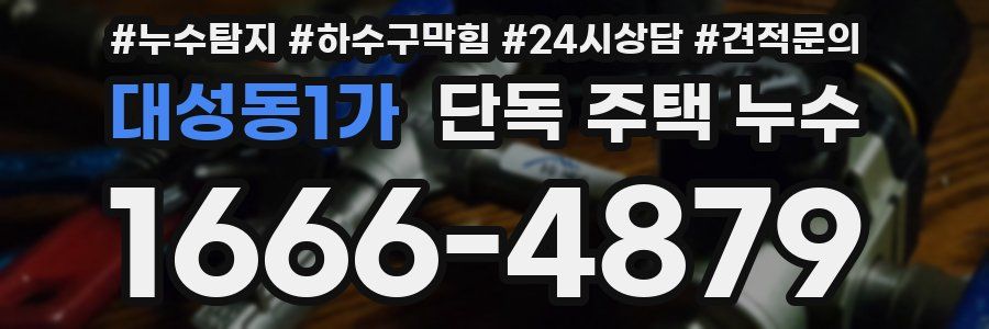대성동1가 단독 주택 누수
