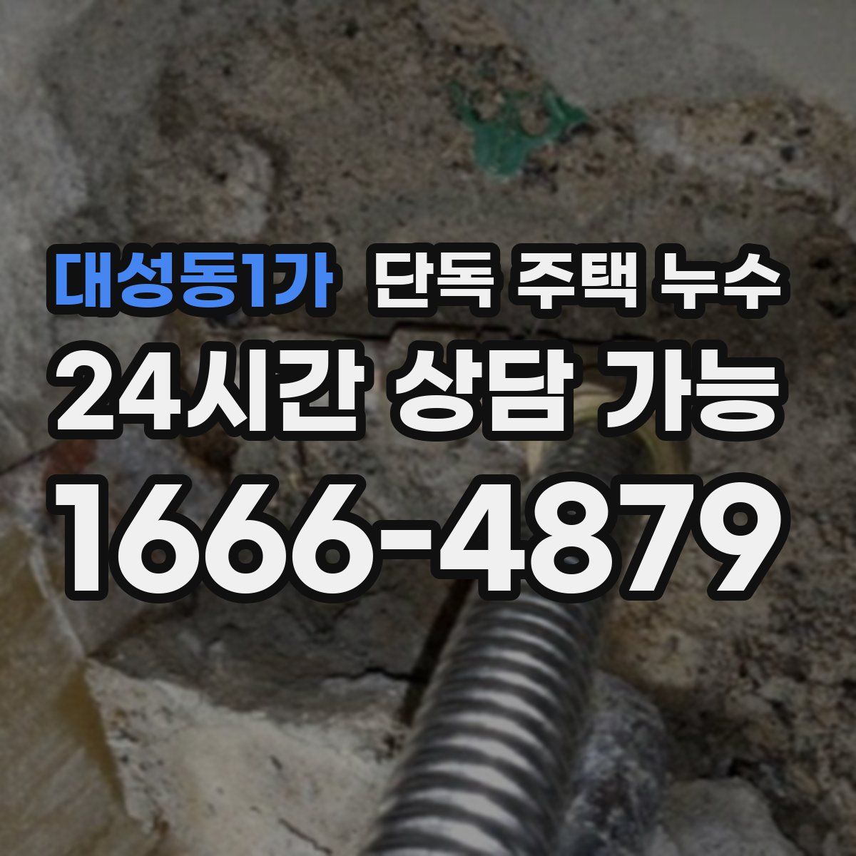 대성동1가 단독 주택 누수