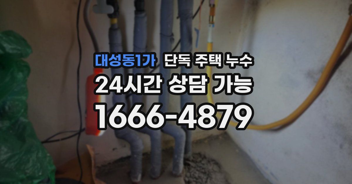 대성동1가 단독 주택 누수