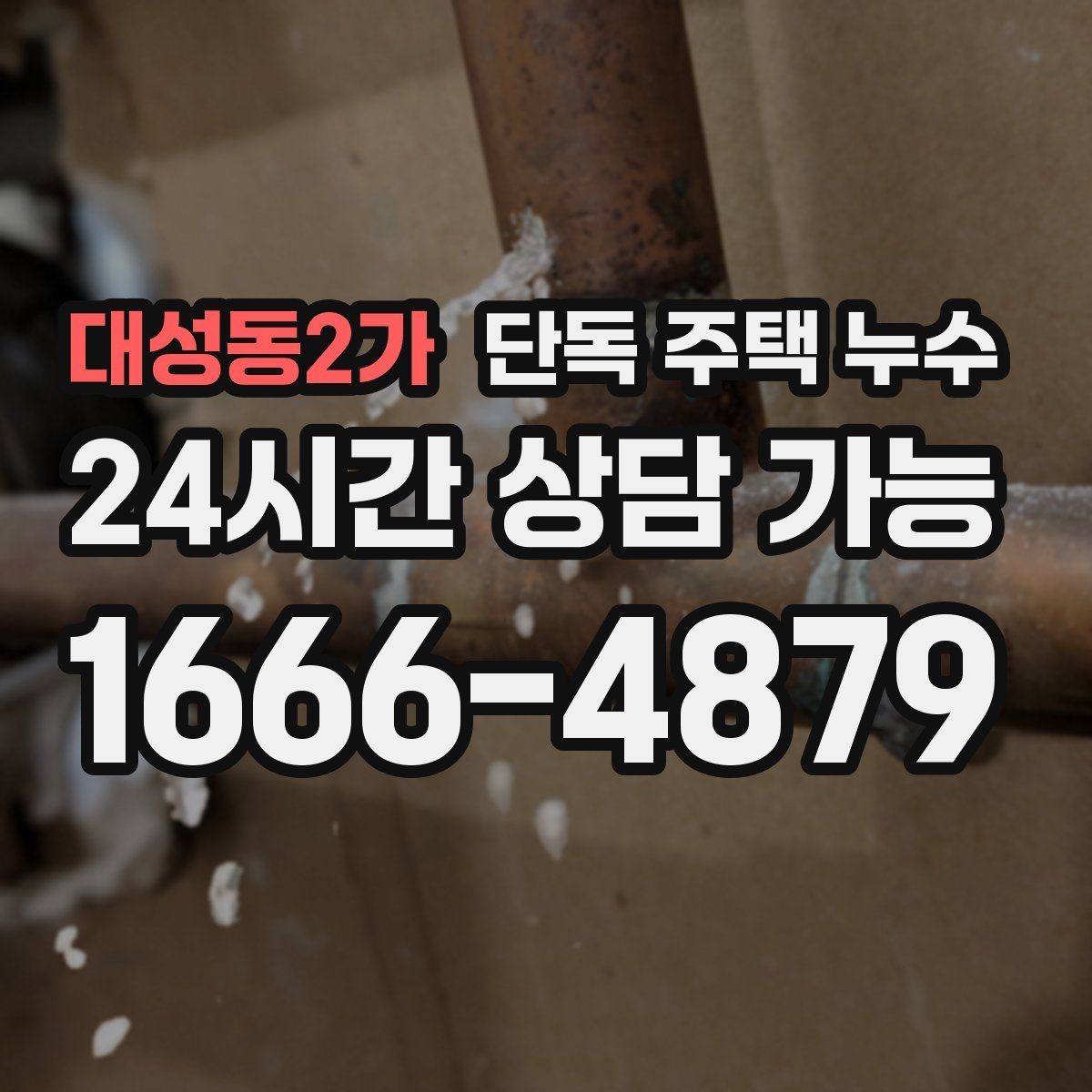 대성동2가 단독 주택 누수 외부 수도관 노후로 생기는 문제