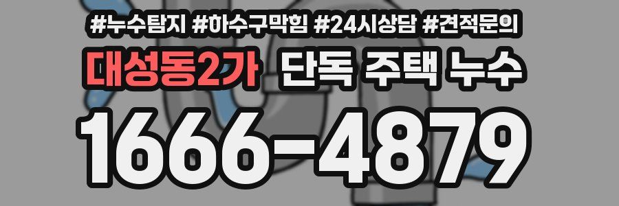 대성동2가 단독 주택 누수