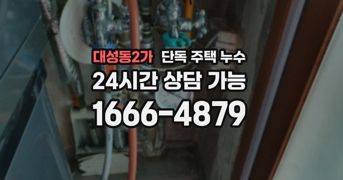 대성동2가 단독 주택 누수