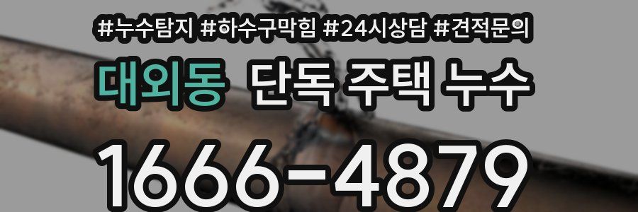 대외동 단독 주택 누수