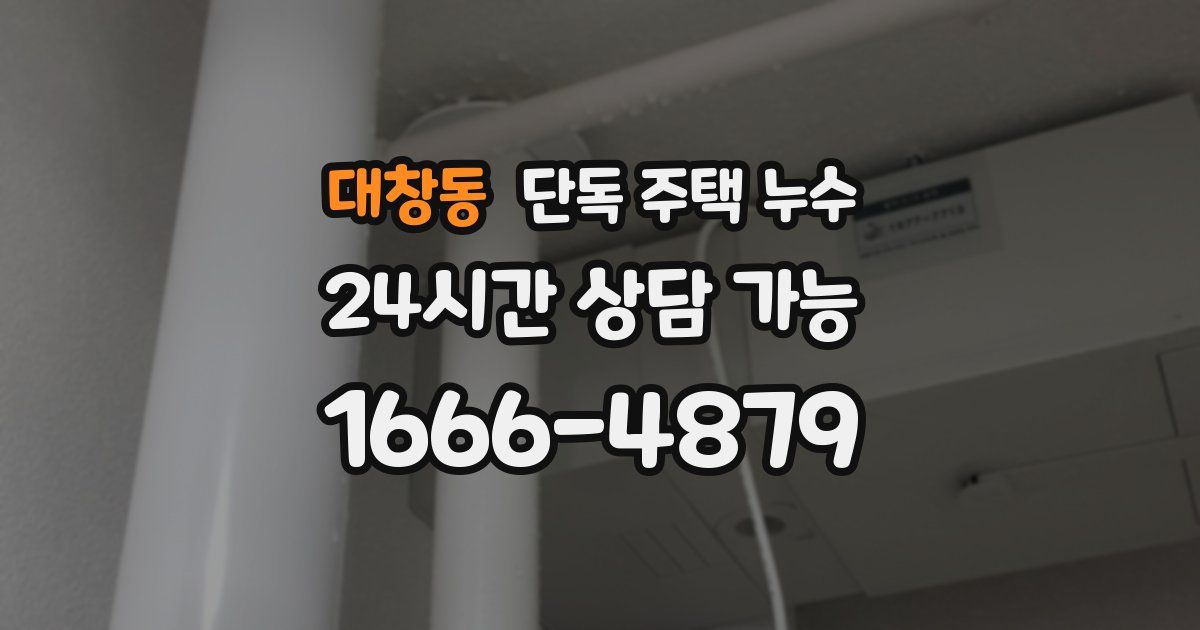 대창동 단독 주택 누수