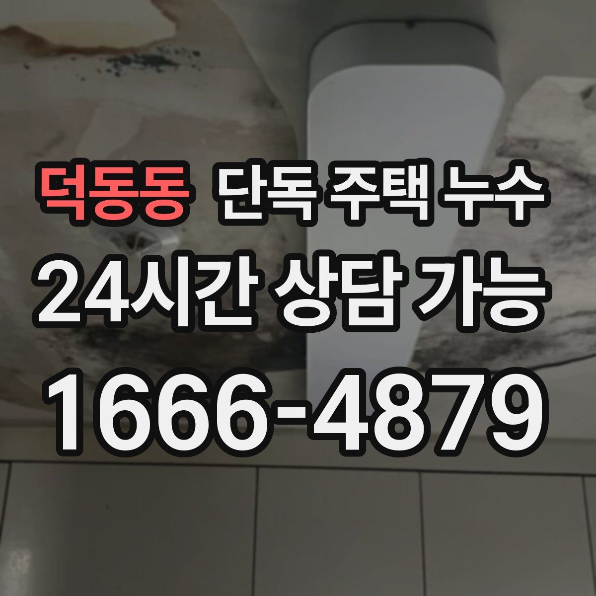 덕동동 단독 주택 누수